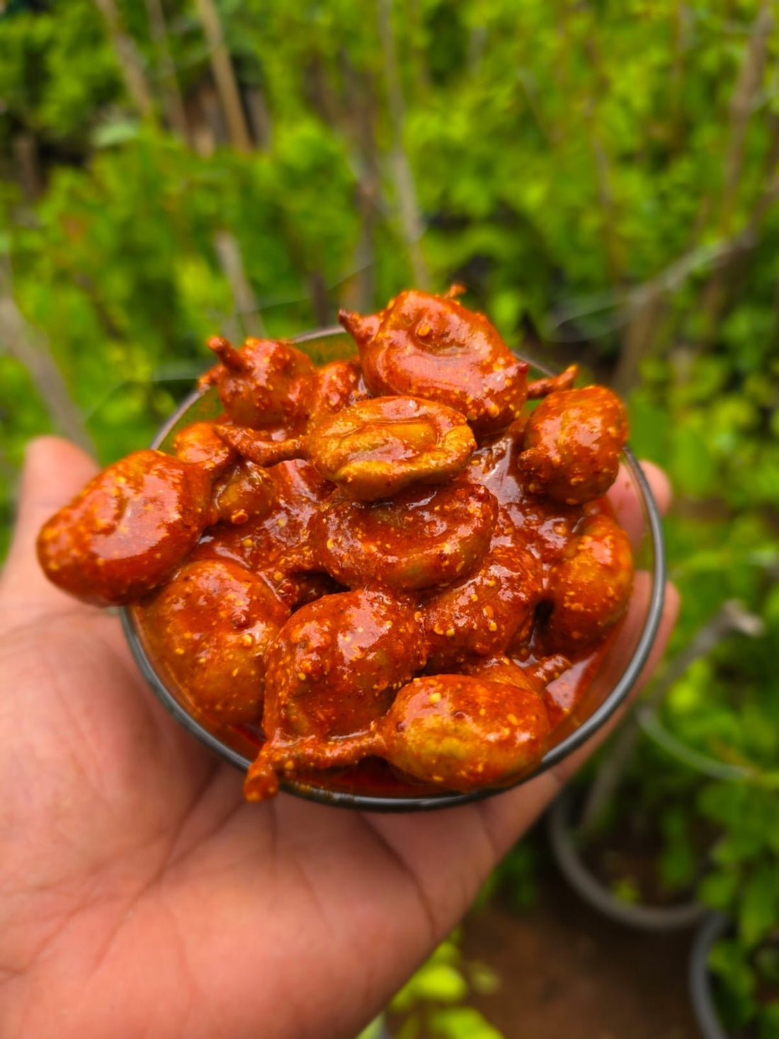 Kannimanga Achar -Wayanadan Kannimanga Pickle Home made