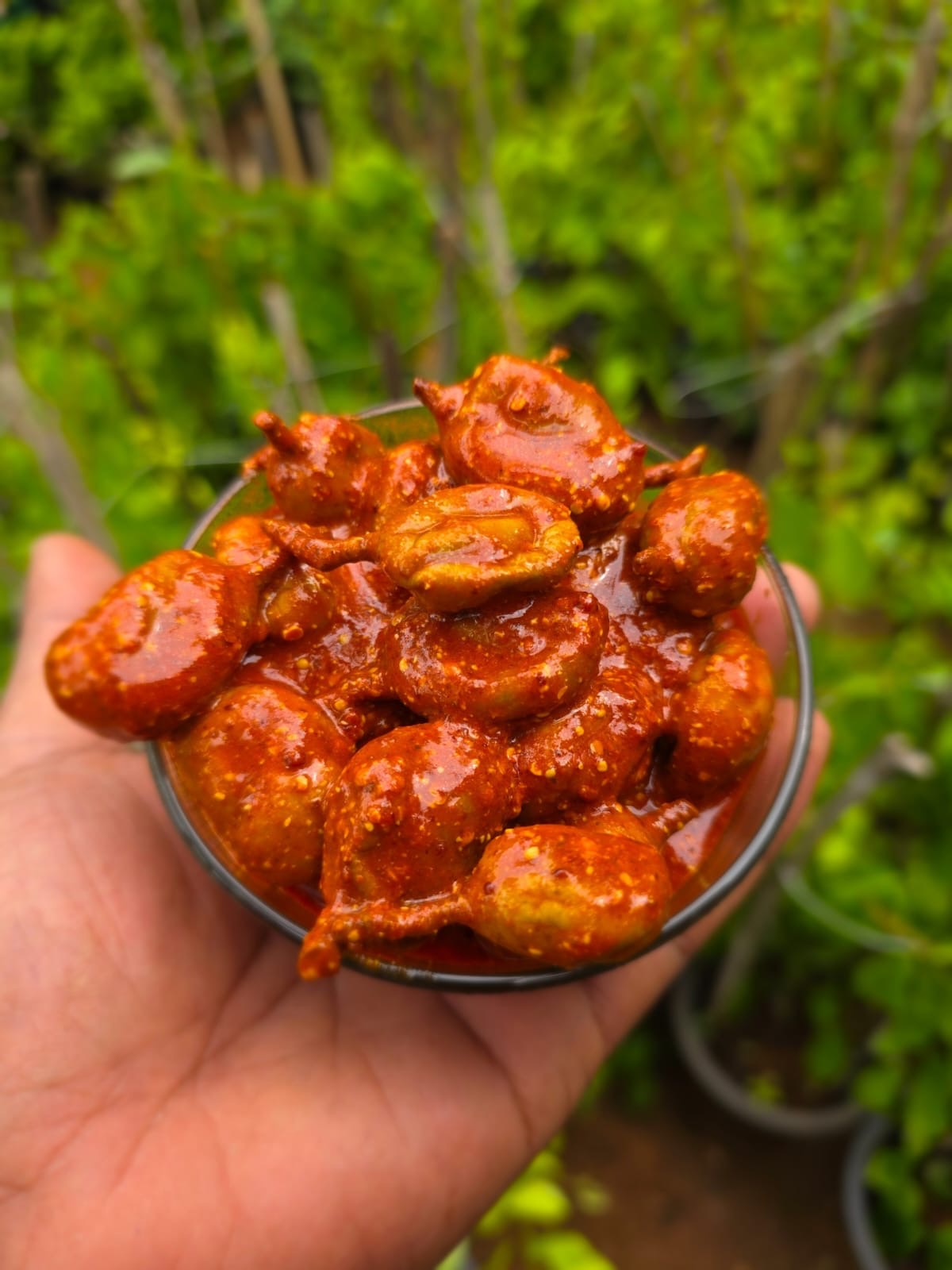 Kannimanga Achar -Wayanadan Kannimanga Pickle Home made