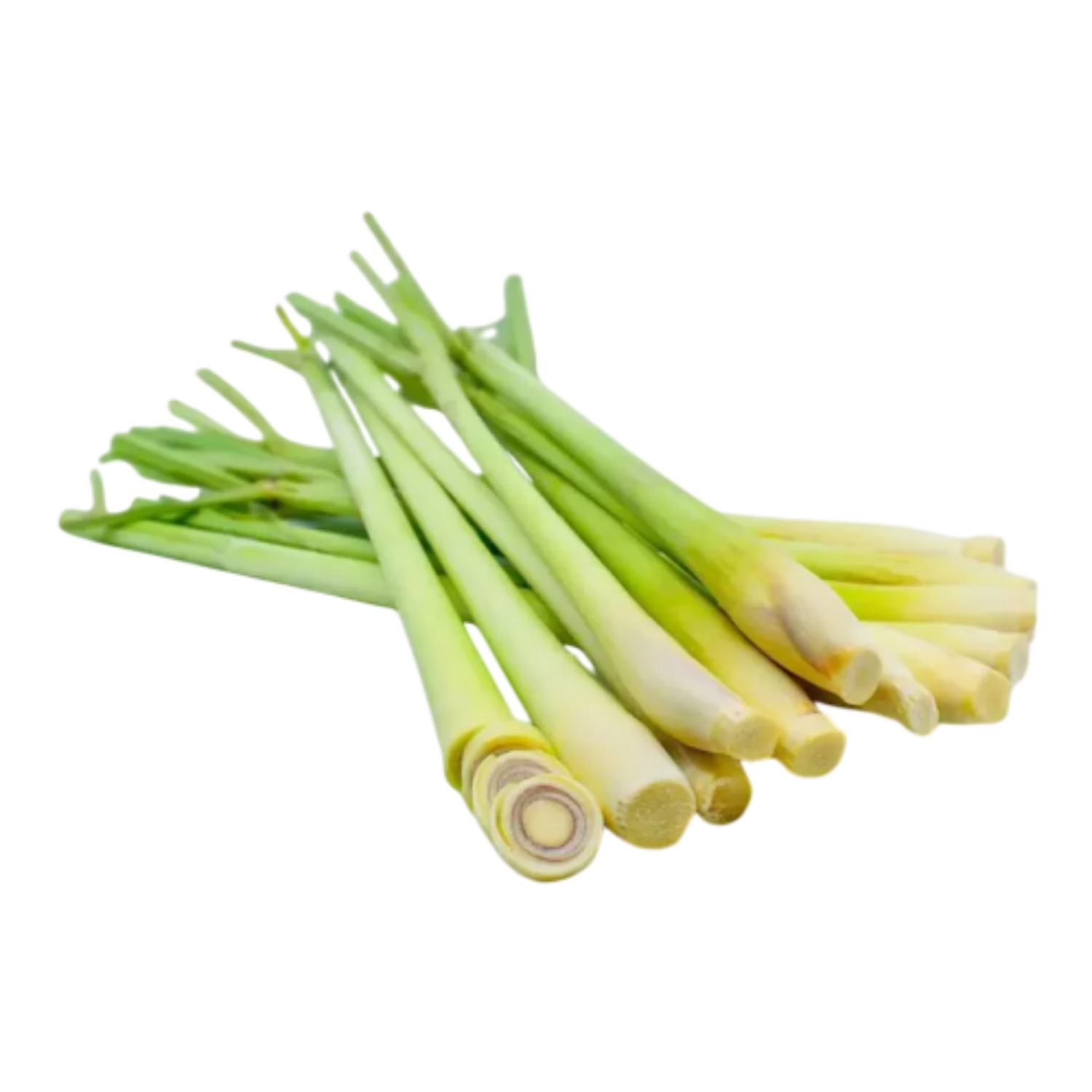 Lemon Grass Plant- Original Lemon Grass Wayanadan Touch Garden