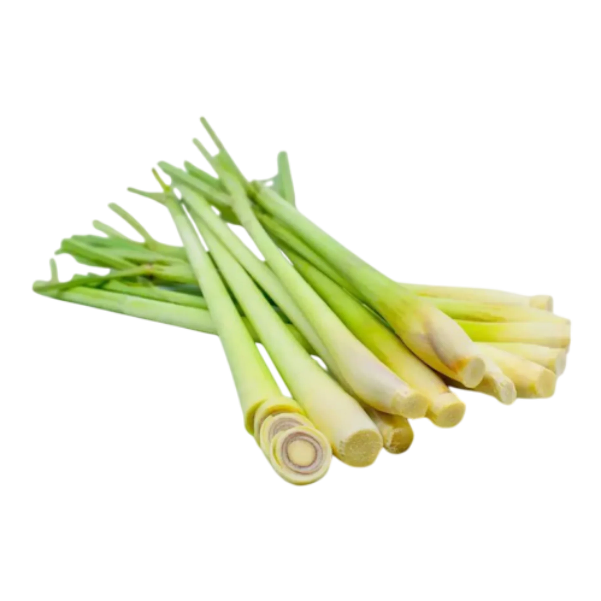 Lemon Grass Plant- Original Lemon Grass Wayanadan Touch Garden