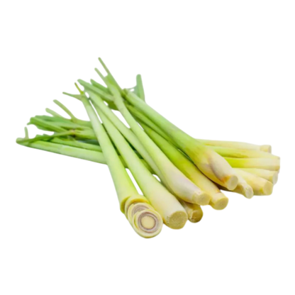 Lemon Grass Plant- Original Lemon Grass Wayanadan Touch Garden