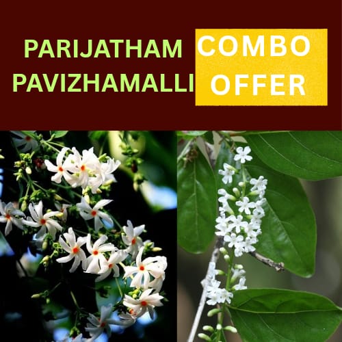 Parijatham &amp; Pavizhamalli COMBO OFFER