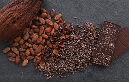 Cocoa Fruit plant- Chocolate making fruit plant Cocoa-Theobroma cacao- Cocoa Live plant