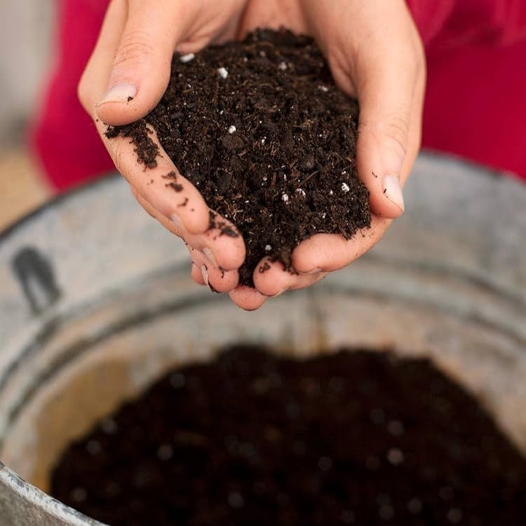 Garden Soil Mix Organic