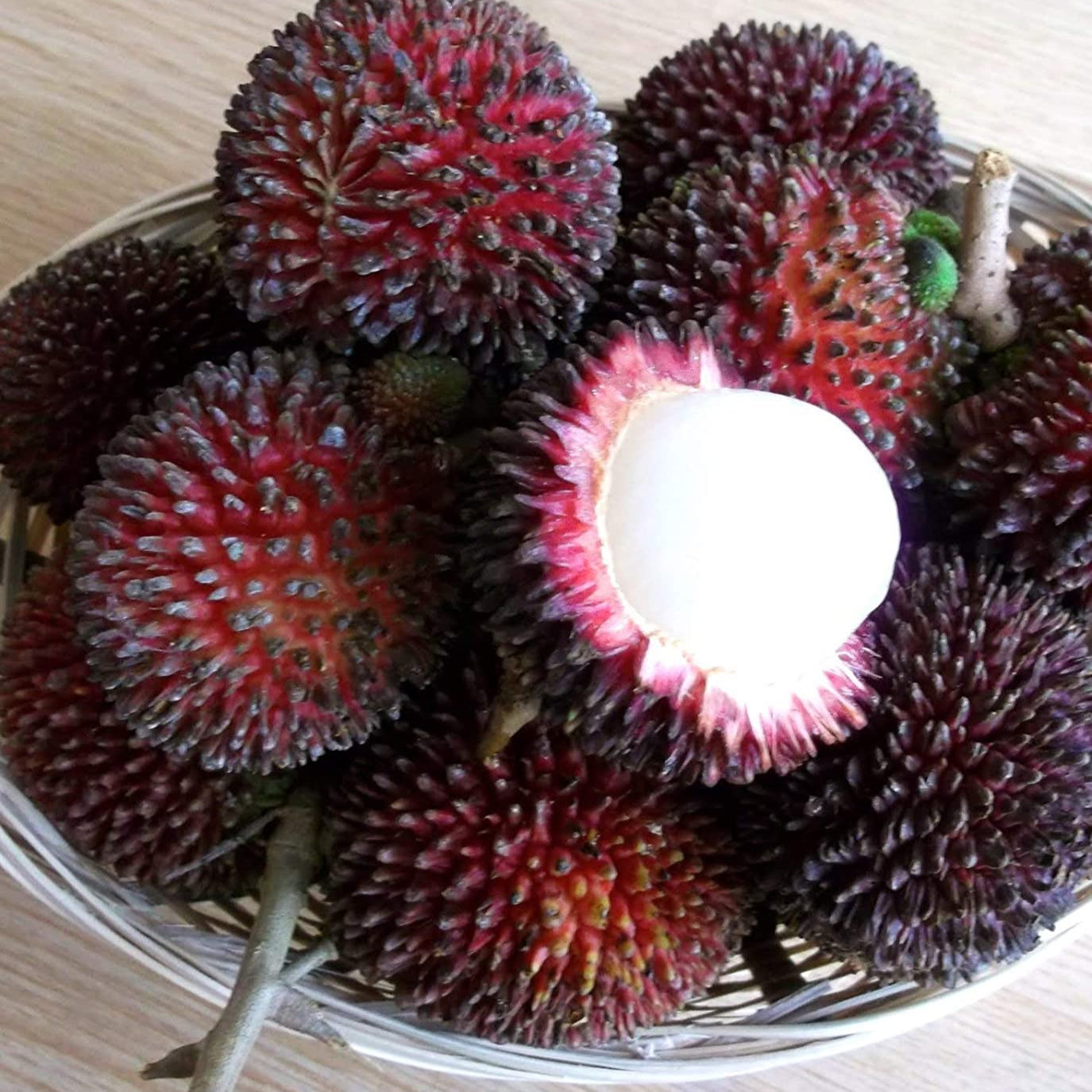 Pulasan Fruit plant